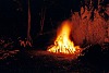 fire 777345 640