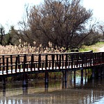 PuentelLaguna100